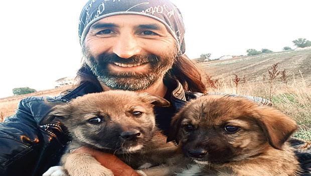 Sarıyer'den Silivri'ye sahipsiz köpek hattı